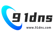 91dns
